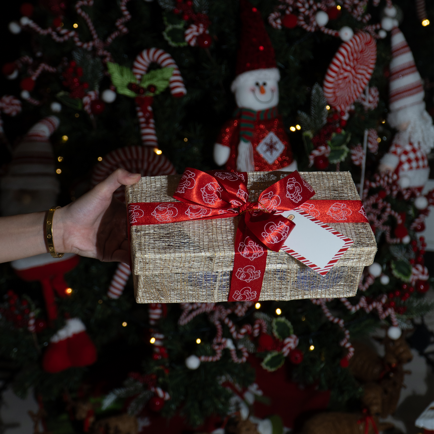 CHRISTMAS BOX SET of 2